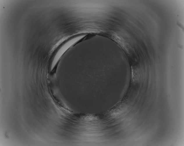 X0000098150348200804241745