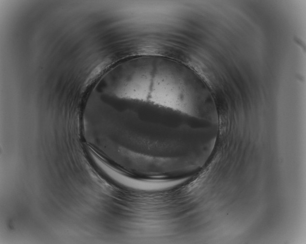 X0000098150349200804241745