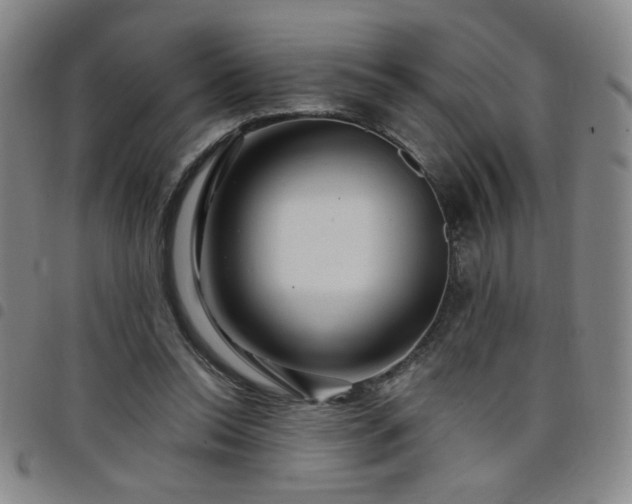 X0000098150350200804241745