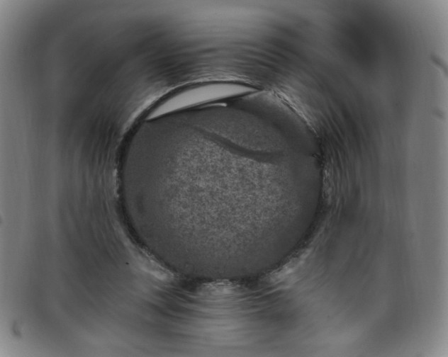 X0000098150351200804241745