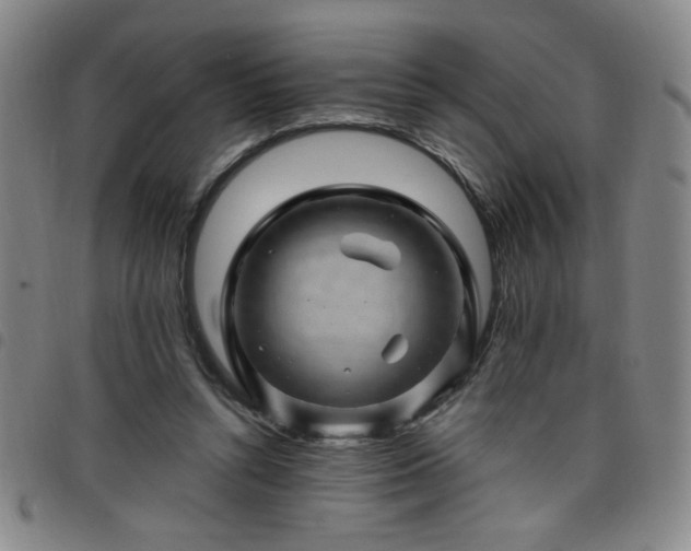 X0000098150352200804241745