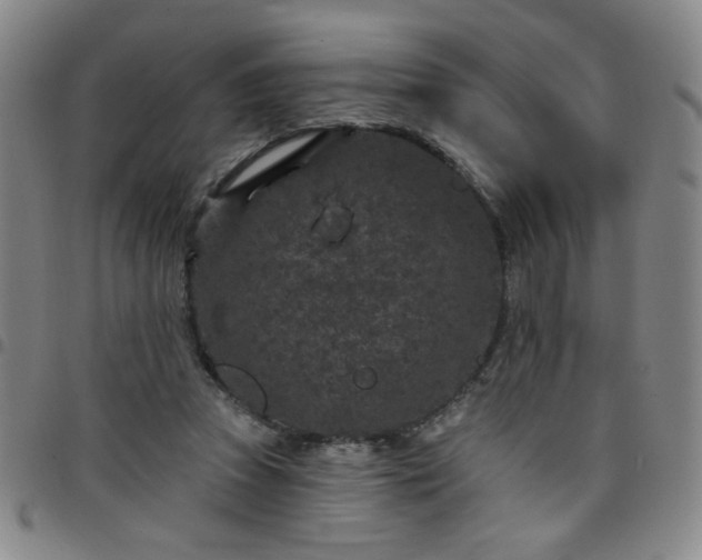 X0000098150353200804241745