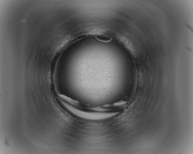 X0000098150354200804241745