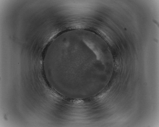 X0000098150355200804241745
