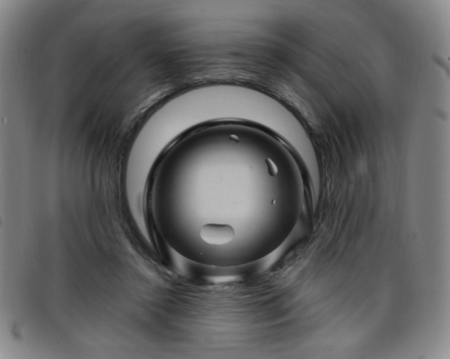 X0000098150356200804241745