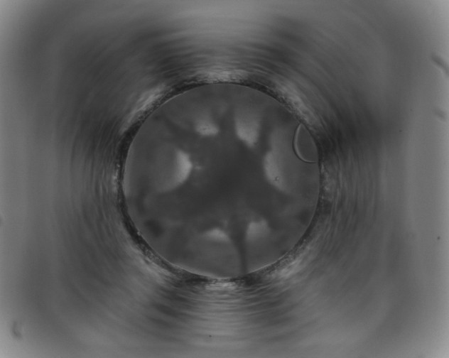 X0000098150357200804241745