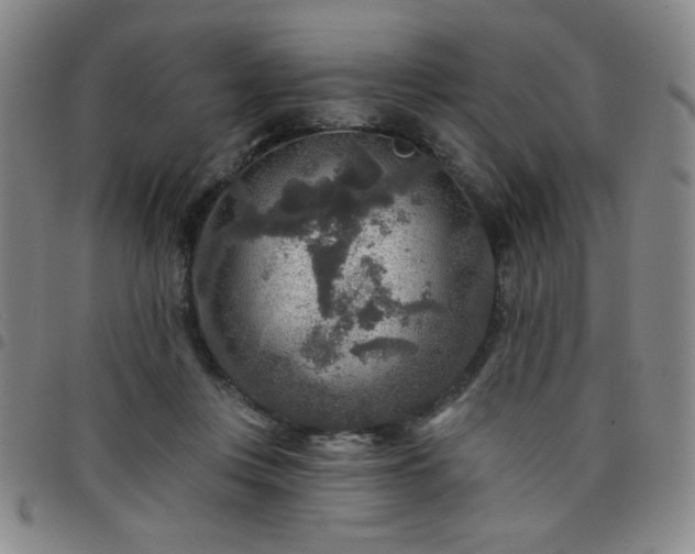 X0000098150359200804241745