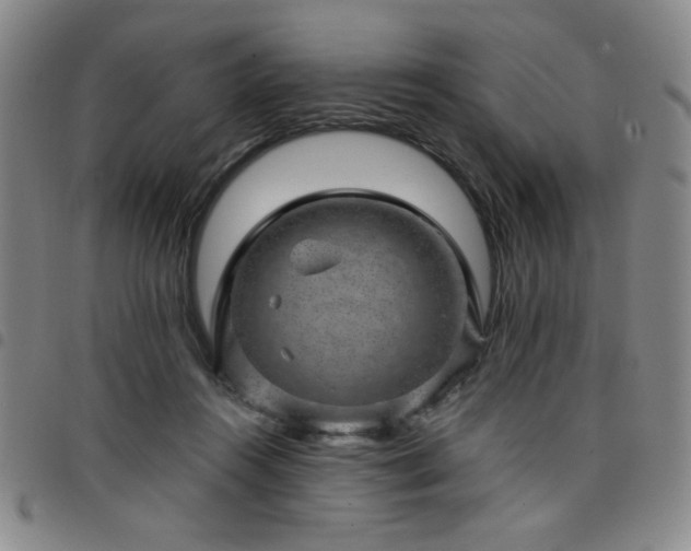 X0000098150360200804241745