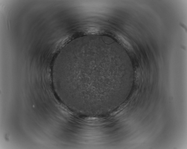 X0000098150361200804241745