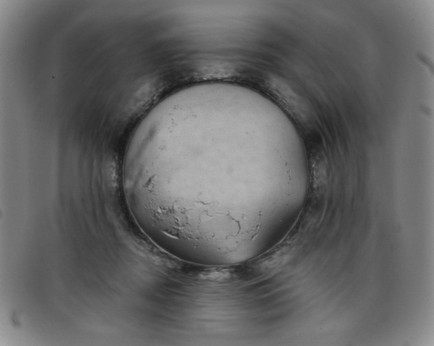 X0000098150362200804241745