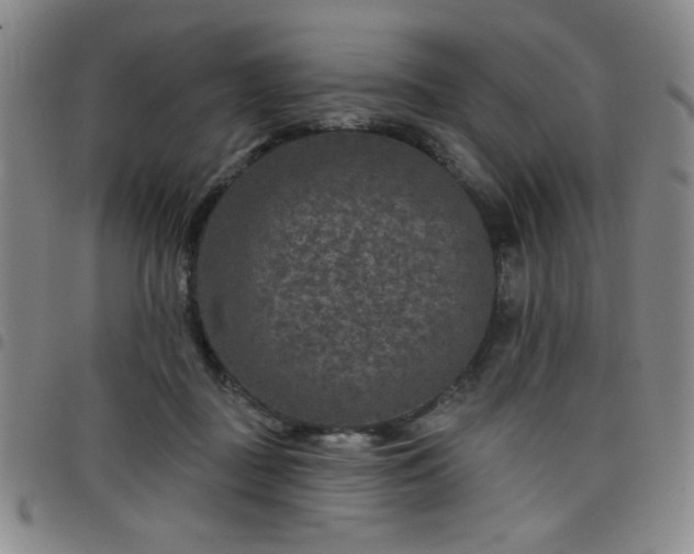 X0000098150363200804241745