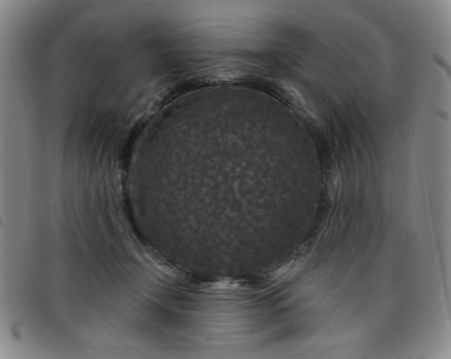X0000098150366200804241745