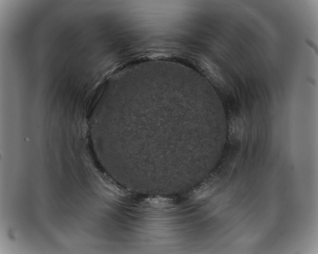 X0000098150367200804241745