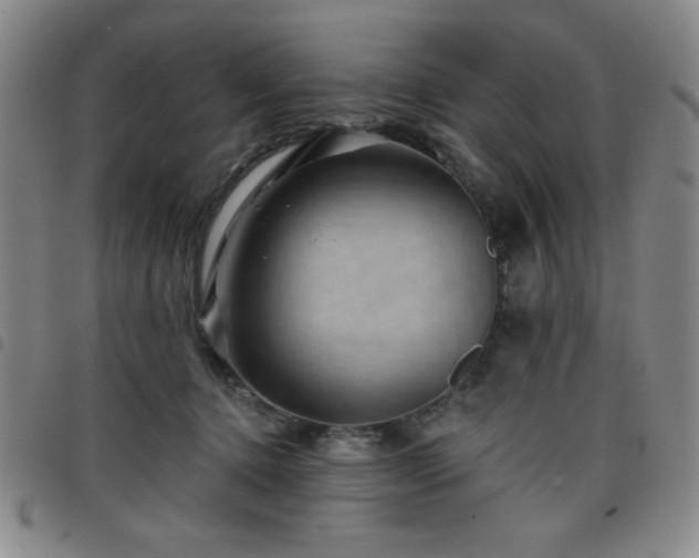X0000098150368200804241745