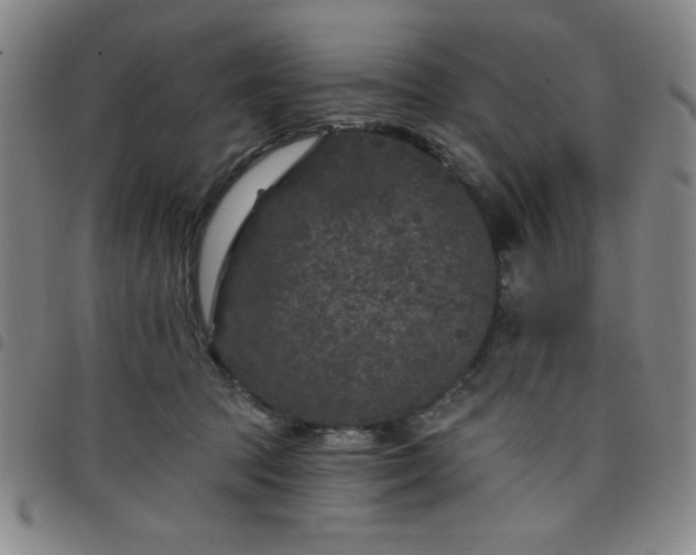 X0000098150369200804241745
