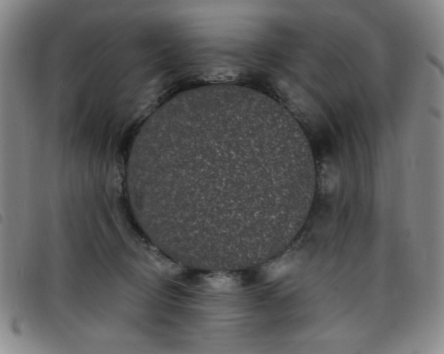 X0000098150370200804241745