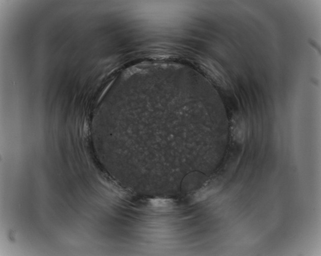 X0000098150371200804241745