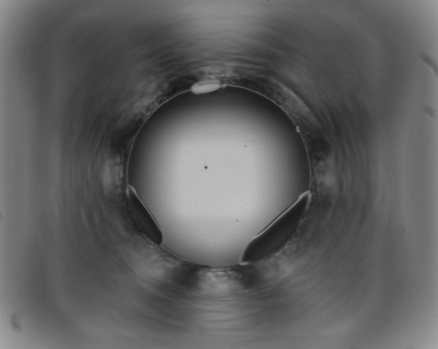 X0000098150372200804241745