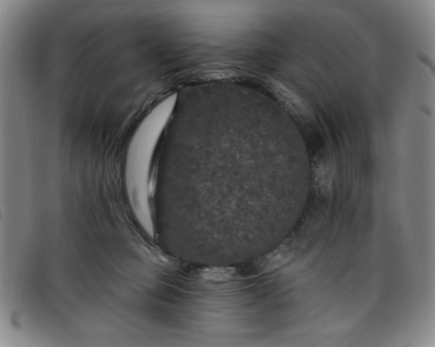 X0000098150373200804241745