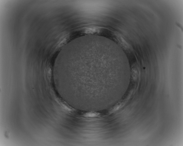 X0000098150375200804241745