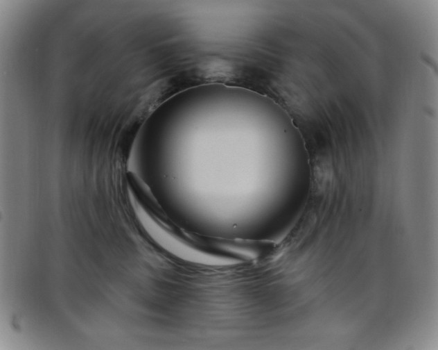 X0000098150379200804241745