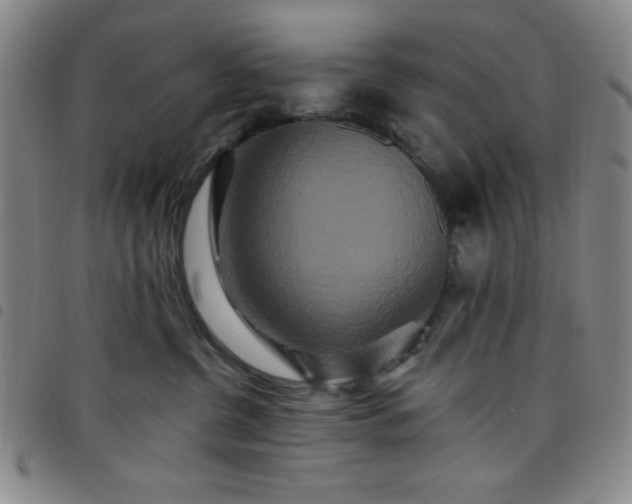 X0000098150380200804241745
