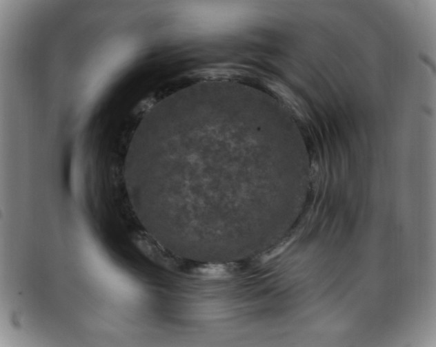 X0000098150381200804241745