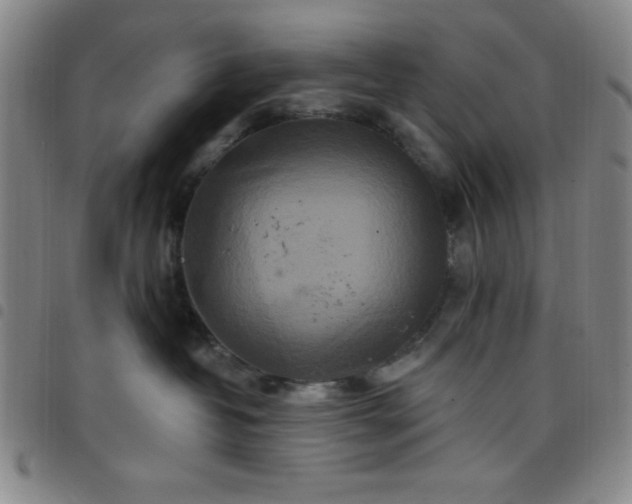 X0000098150382200804241746