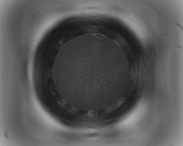 X0000098150383200804241746