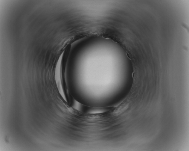 X0000098150384200804241746