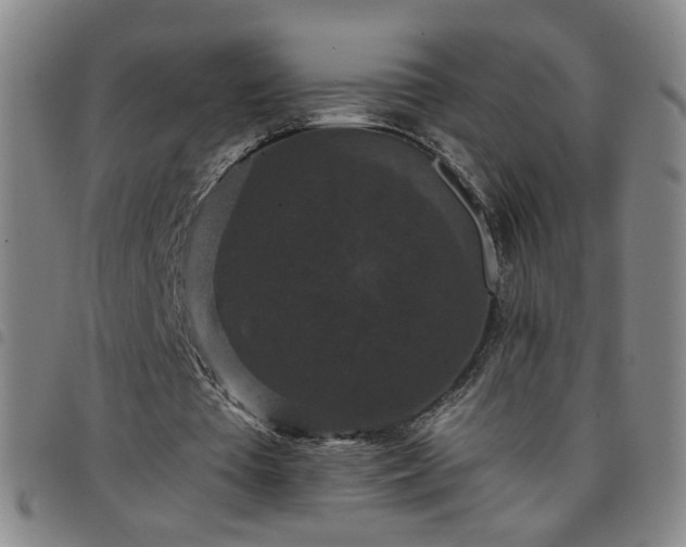 X0000098150385200804241745