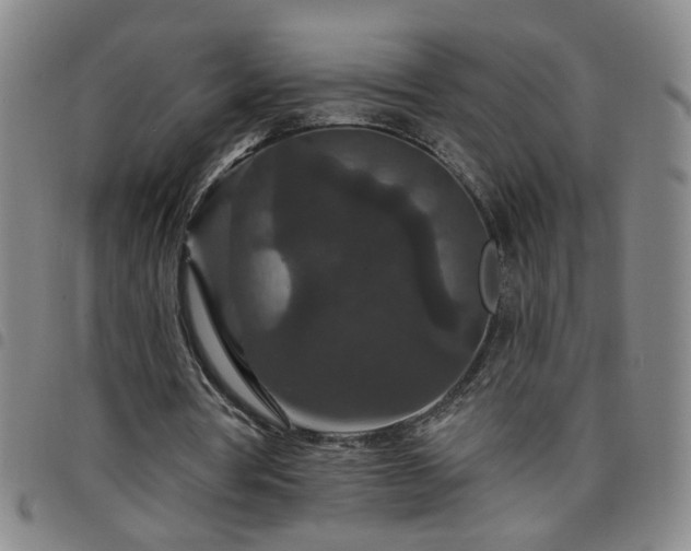 X0000098150386200804241745