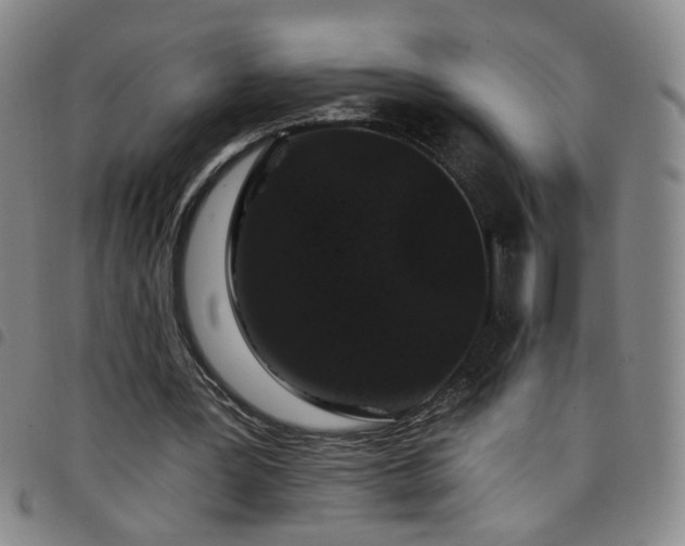 X0000098150387200804241745