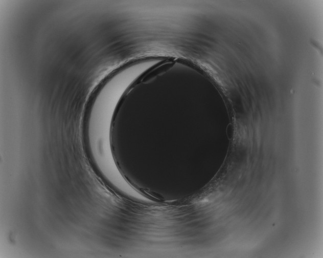 X0000098150391200804241745