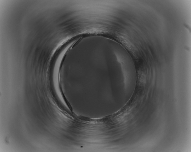 X0000098150392200804241745