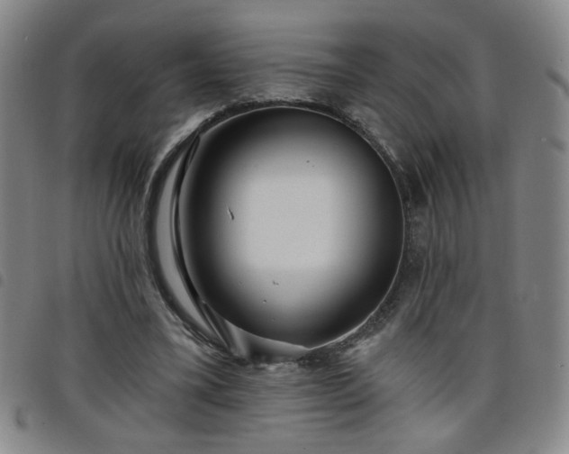 X0000098150395200804241745