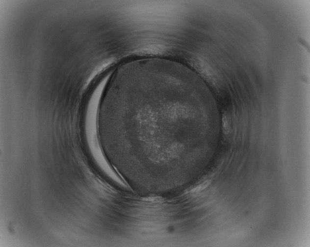 X0000098150396200804241744