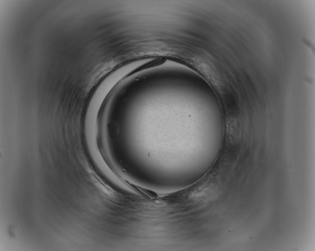 X0000098150397200804241744