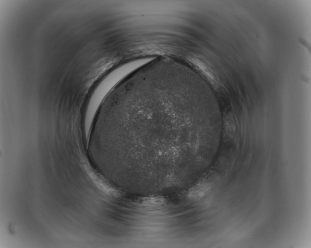X0000098150398200804241744