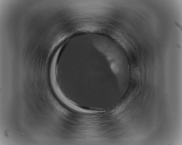 X0000098150399200804241744