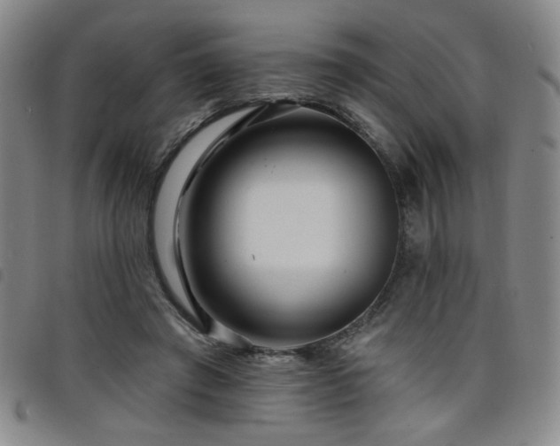 X0000098150401200804241744