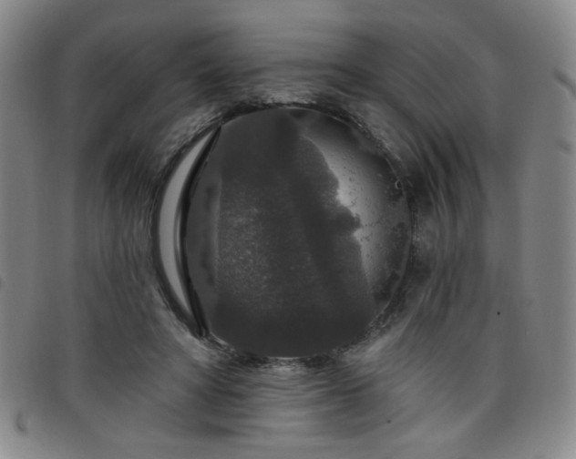 X0000098150402200804241744