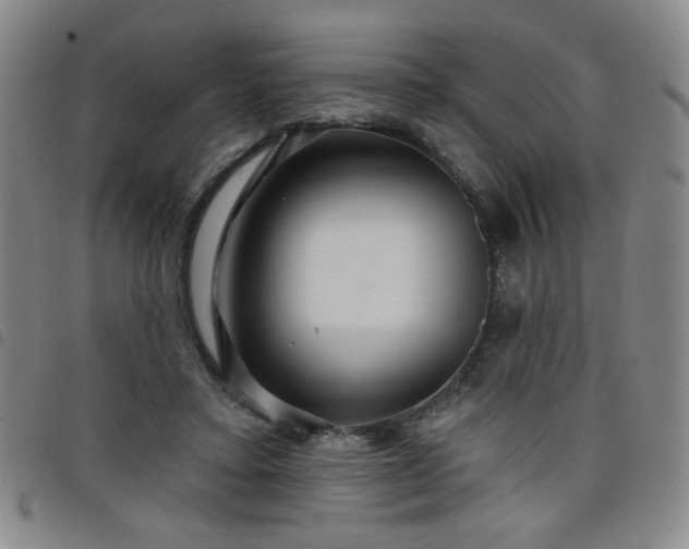 X0000098150403200804241744