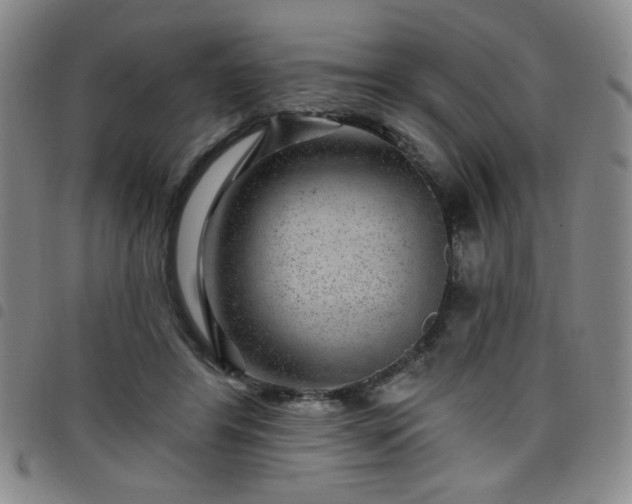 X0000098150404200804241744