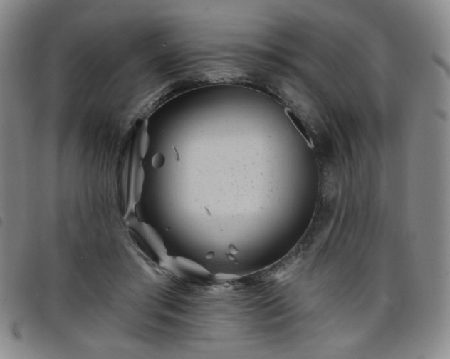 X0000098150405200804241744