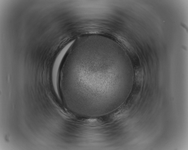 X0000098150406200804241744