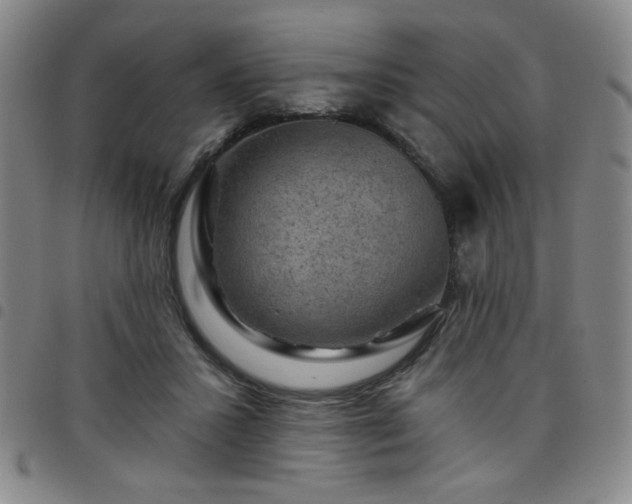 X0000098150407200804241744
