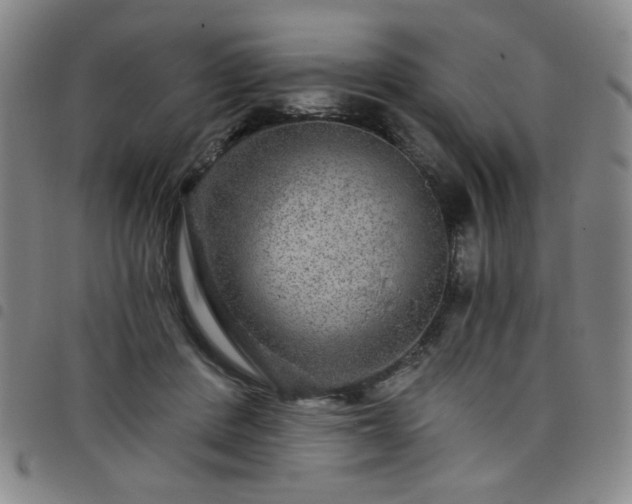 X0000098150408200804241744