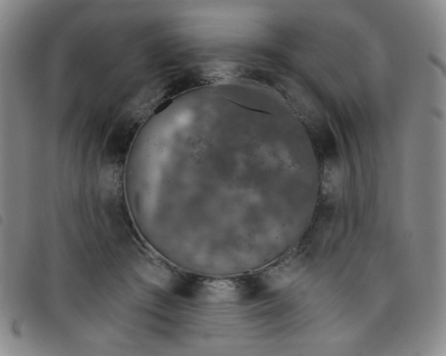 X0000098150409200804241744