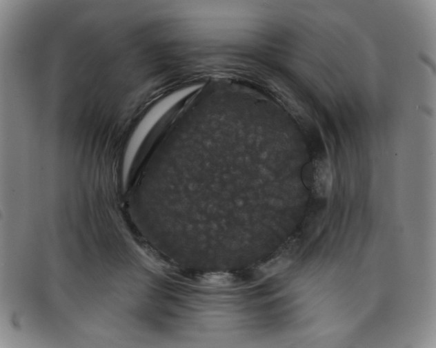 X0000098150410200804241744